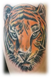Tiger1